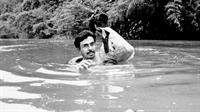 Swimming to work