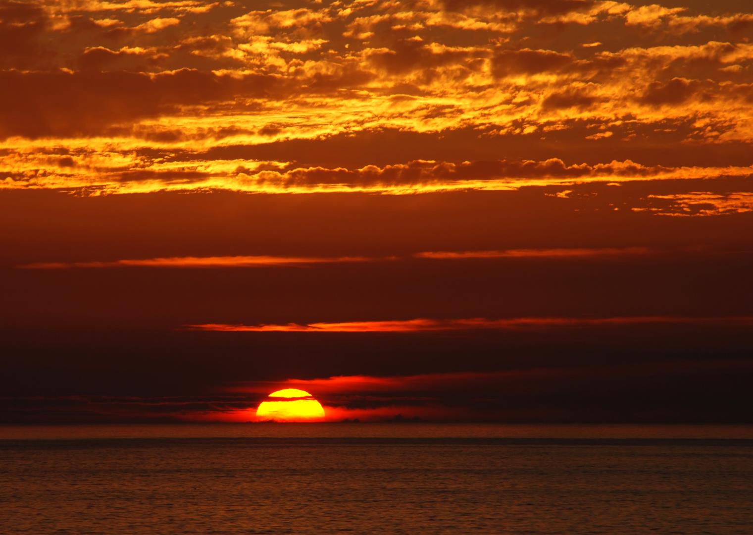 When one door of happiness closes, another opens; but often we look so long at the closed door that we do not see the one which has been opened for us. - Helen Keller