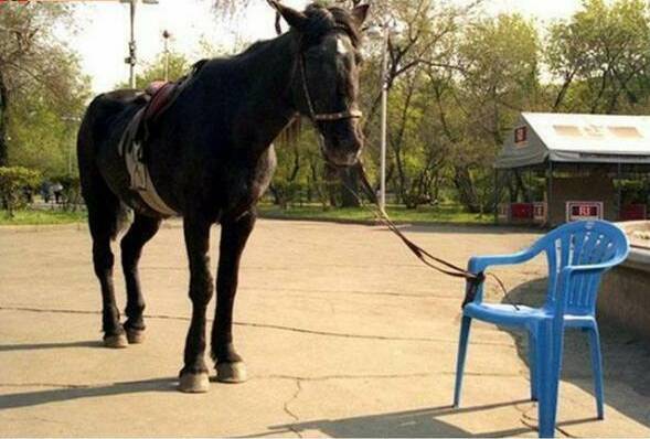 Sometimes the thing that is holding you back is all in your head - Unknown