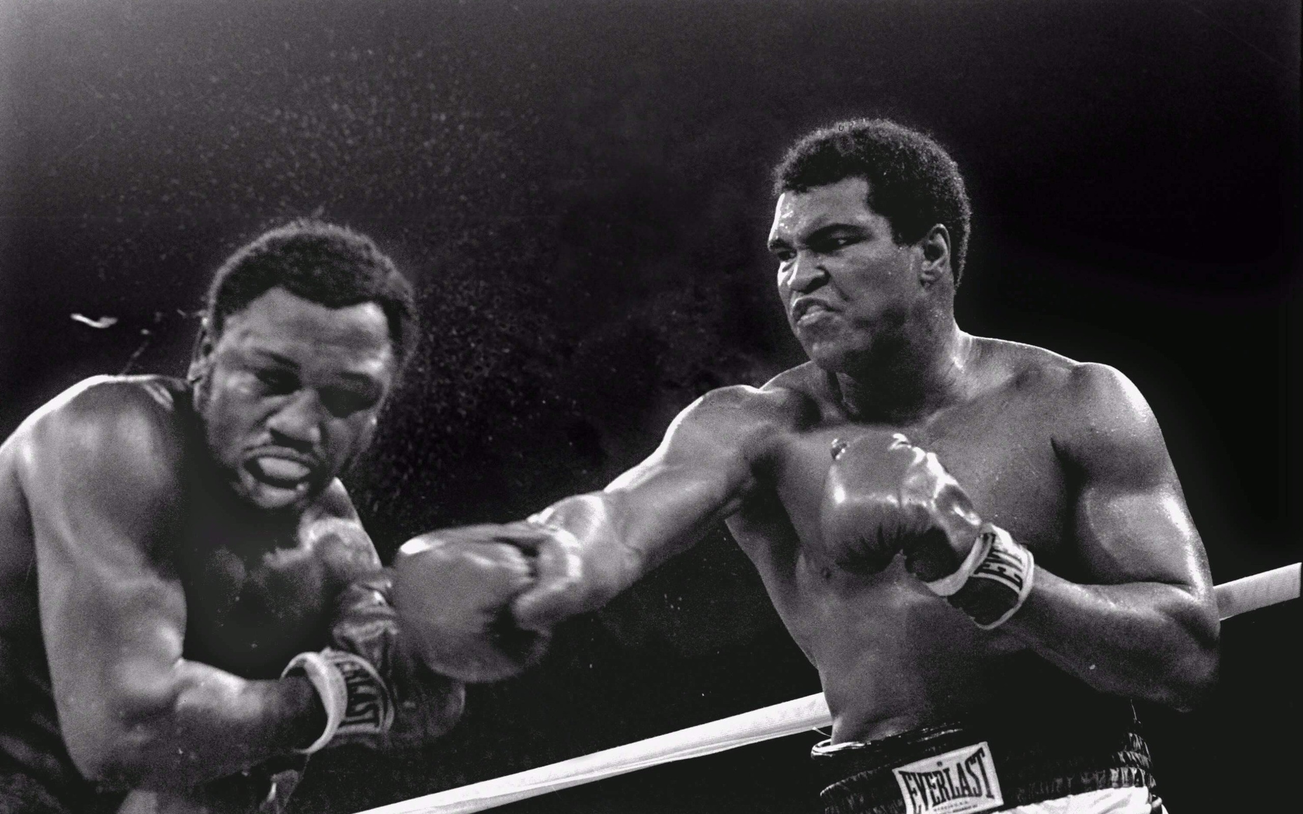 I hated every minute of training, but I said, 'Don't quit. Suffer now and live the rest of your life as a champion'. - Muhammad Ali