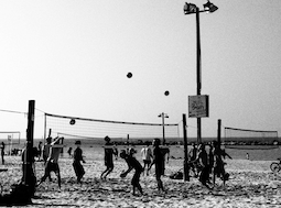 Volleyball Quotes