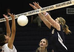 Volleyball Quotes