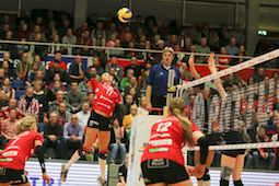 Volleyball Quotes