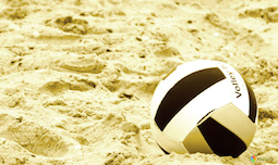 Volleyball Quotes
